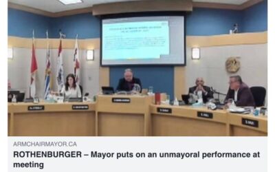 Audit Motion Passed Without Mayor’s Support